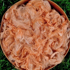 Suri Alpaca Fiber, 4 Inches, Madder Orange, Hand-Dyed, 2 Ounces, Lorelei, Doll Hair, Spinning Fiber, Felting Fiber, U.S. Grown Alpaca