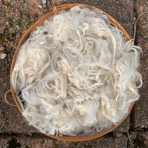White Suri Alpaca Fiber, 2 Ounces, 5 Inches, Luminous, Spinning Fiber, Felting Fiber, U.S. Grown Alpaca