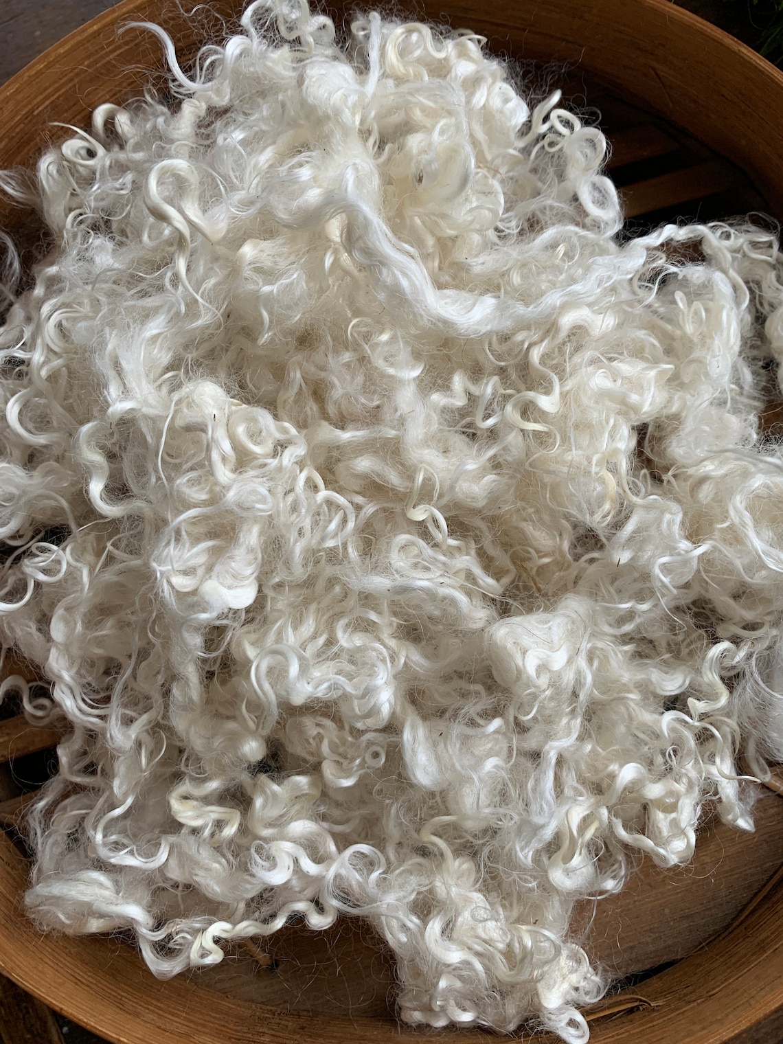 Mohair Angora Goat Fiber 4 Inches White Fiber 2 Ounces Etsy