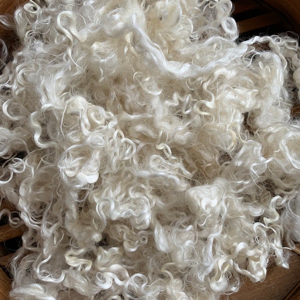 Mohair, Angora Goat Fiber, 5 Inches, White Fiber, 2 Ounces, "Mike"