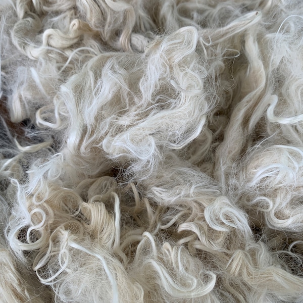 Suri Alpaca Fiber, 5 Inches, White, 2 Ounces, "Hope"