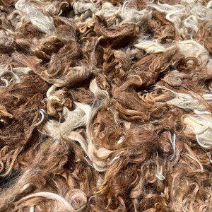 Suri Alpaca Fiber, 4 Inches, Dark Fawn and Beige, 2 Ounces, Sam, Doll Hair, Spinning Fiber, Felting Fiber, U.S. Grown Alpaca