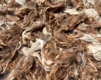 Dark Fawn and Beige Suri Alpaca Fiber for Spinning - Washed Locks - Two Ounces - Sam