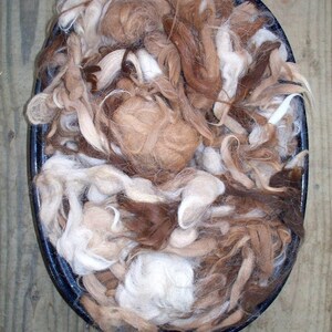 May include: A black oval bowl filled with raw alpaca fiber in shades of brown, tan, and white. The fibers are loose and fluffy, with varying textures and lengths. The bowl sits on a wooden surface.