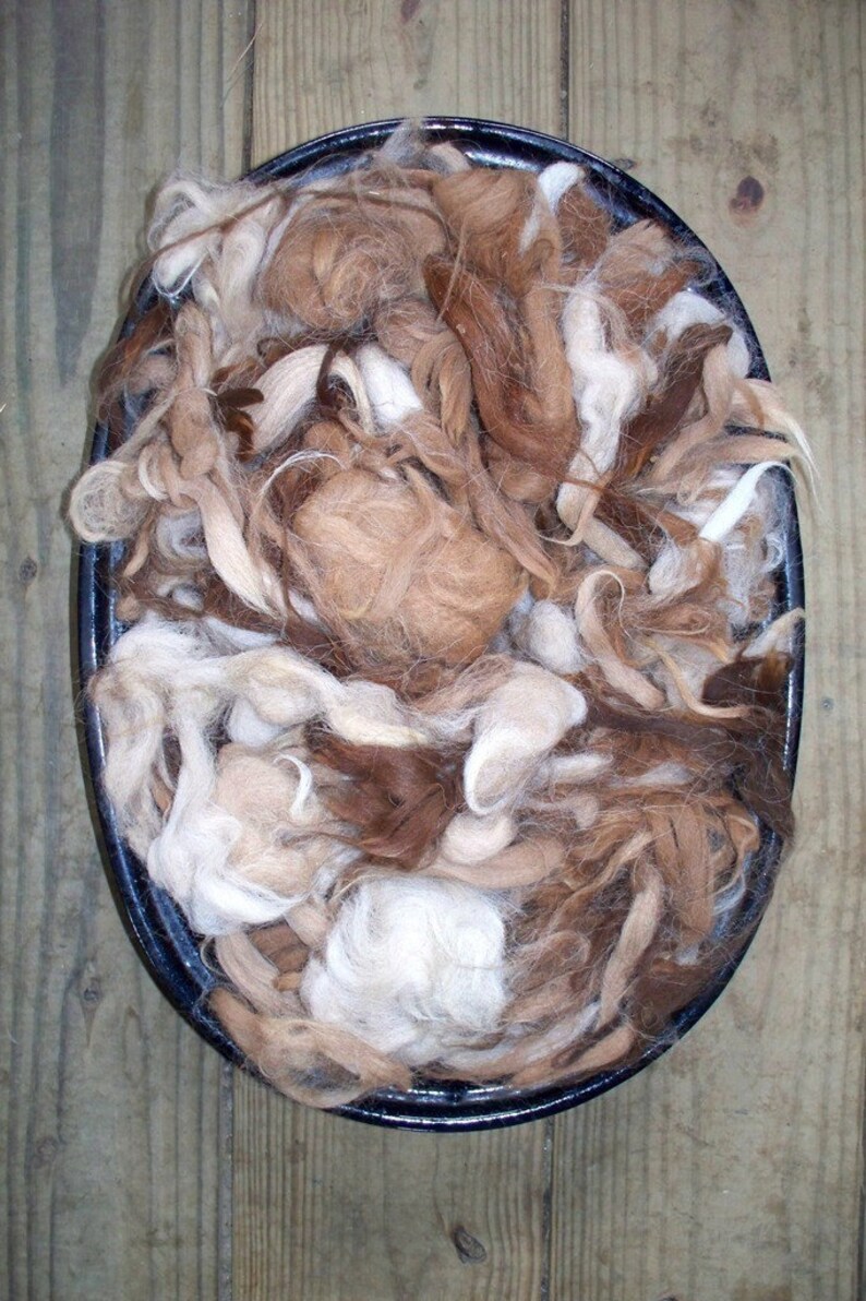 May include: A black oval bowl filled with raw alpaca fiber in shades of brown, tan, and white. The fibers are loose and fluffy, with varying textures and lengths. The bowl sits on a wooden surface.