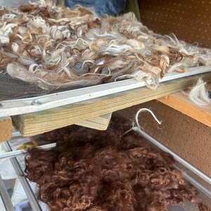 Alpaca, Mohair, Llama Fiber Seconds – 8 ounces - for Felting, Pet Beds, Nesting Balls image 7