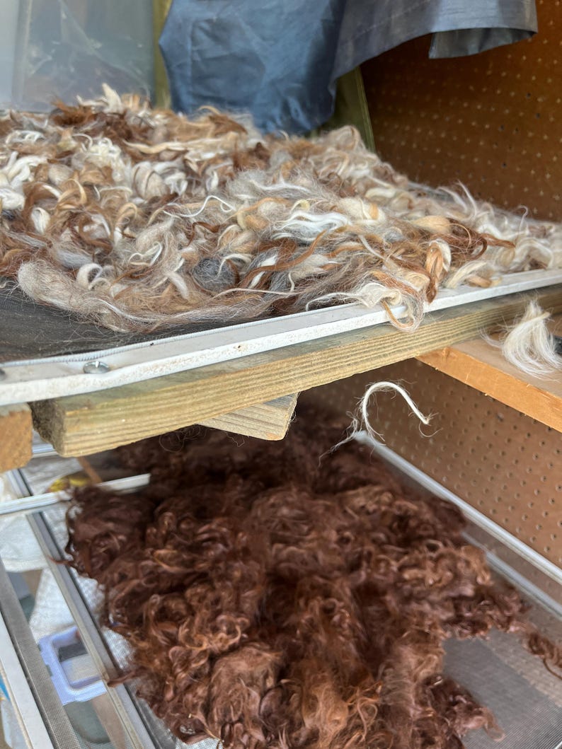 Alpaca, Mohair, Llama Fiber Seconds – 8 ounces - for Felting, Pet Beds, Nesting Balls image 7