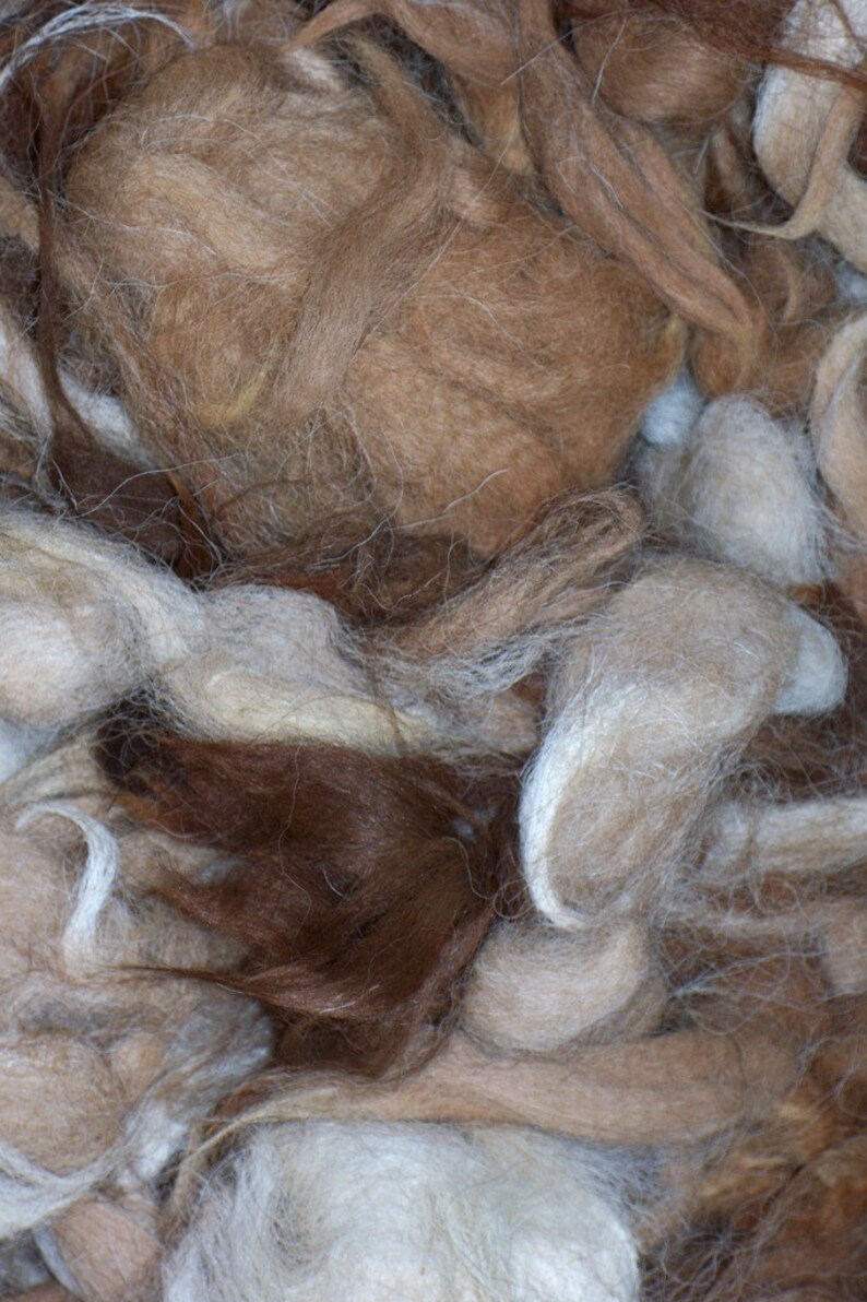 May include: Close-up of a pile of natural fiber in various shades of brown, beige, and white. The fibers are soft and fluffy, with a slightly textured appearance. The image shows a variety of textures and colors, suggesting a natural, unprocessed material.