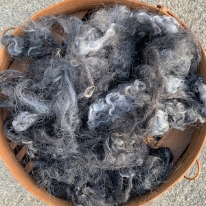 Mohair, Angora Goat Fiber, 2 Ounces, Charcoal Silver Fiber, 4 Inches, &quot;Lola&quot;