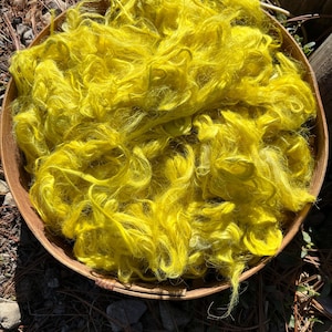 Suri Alpaca Fiber, 4 Inches, 2 Ounces, Daisy, Doll Hair, Spinning Fiber, Felting Fiber, U.S. Grown Alpaca