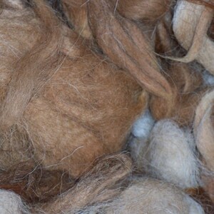 May include: Close-up of a pile of natural fiber in shades of brown, tan, and cream. The fibers have a soft, textured appearance, with some strands appearing lighter and others darker. The image suggests a craft material, possibly for spinning or felting.