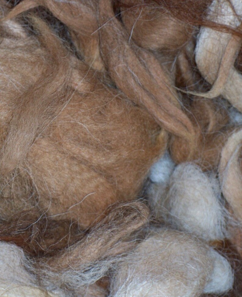 May include: Close-up of a pile of natural fiber in shades of brown, tan, and cream. The fibers have a soft, textured appearance, with some strands appearing lighter and others darker. The image suggests a craft material, possibly for spinning or felting.