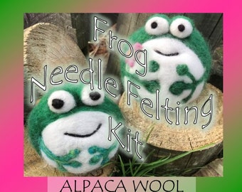 Frog Needle Felting Kit for Beginners