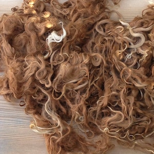 Suri Alpaca Fiber, 5 Inches, Dark Fawn, 2 Ounces, Martha, Doll Hair, Spinning Fiber, Felting Fiber, U.S. Grown Alpaca