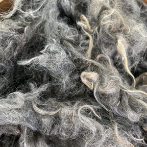 Mohair, Angora Goat Fiber, 2 Ounces, Charcoal Silver Fiber, 4 Inches - Lola