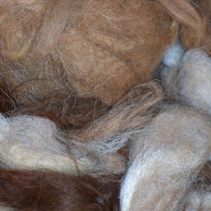 May include: Close-up of a pile of natural fiber in shades of brown, tan, and cream. The fibers are soft and fluffy, with a slightly textured appearance. The image showcases the raw material, likely for textile crafts.