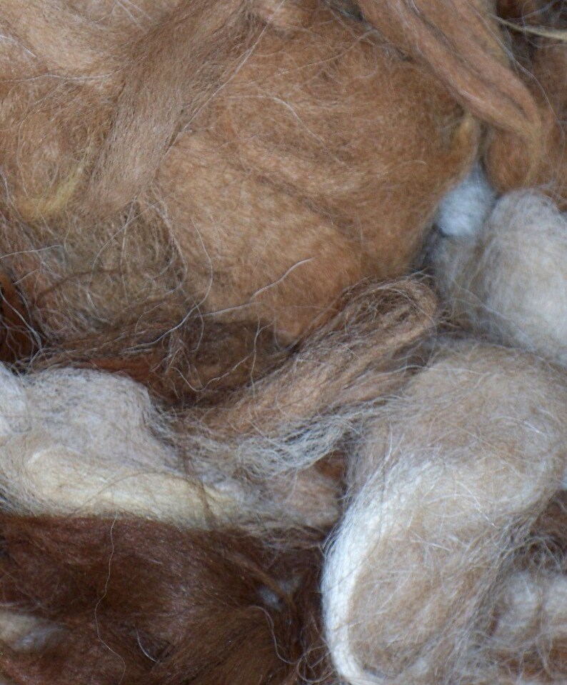 May include: Close-up of a pile of natural fiber in shades of brown, tan, and cream. The fibers are soft and fluffy, with a slightly textured appearance. The image showcases the raw material, likely for textile crafts.