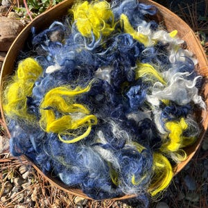 Suri Alpaca Fiber, 2 Ounces - Daisy, Indigo, Black, White, Doll Hair, Spinning Fiber, Felting Fiber, U.S. Grown Alpaca