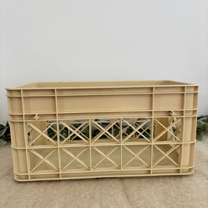 Könnte beinhalten: Eine beige Kunststoffkiste mit rechteckiger Form. Die Kiste hat ein gitterartiges Design an den Seiten und eine solide Ober- und Unterseite. Die Kiste ist leer und steht auf einer neutralfarbenen Oberfläche.