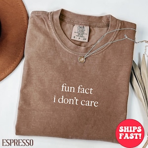 Fun Fact I Don&#39;t Care Shirt, Graphic Tee, Trendy Shirt, Cool Gift, Funny Quote Top, Statement Apparel, Adult Humor Tee, Comfort Colors