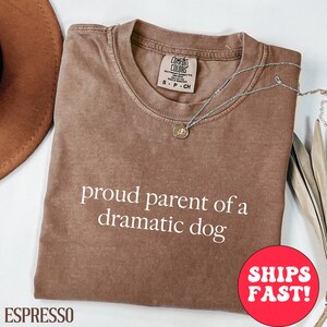May include: Espresso-colored t-shirt with the text "proud parent of a dramatic dog" in white. The shirt has a crew neck and short sleeves. A silver necklace with a pendant is draped across the shirt.