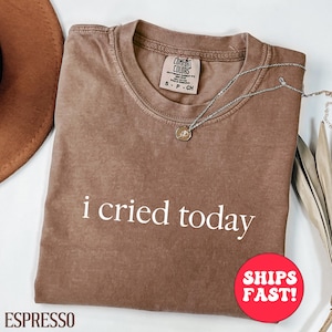 Comfort Colors® I Cried Today Shirt, Funny Mental Health T-Shirt, Graphic Tee, Sad Girl Humor Shirt, Gen Z Mood Tee, Emotional Support Tee