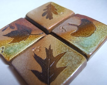 Backsplash Accent Ceramic Tile Kitchen Bath Tile  1 3/4&quot; and larger sizes &quot;Change of Seasons&quot; glaze with tree leaves
