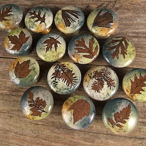 May include: A set of 12 ceramic cabinet knobs featuring various leaf designs in shades of brown, green, and yellow. The knobs are round and have a slightly raised design.