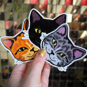Vinyl Sticker Set - 3x Cute Cat Faces, Laptop Decals, Phone stickers,