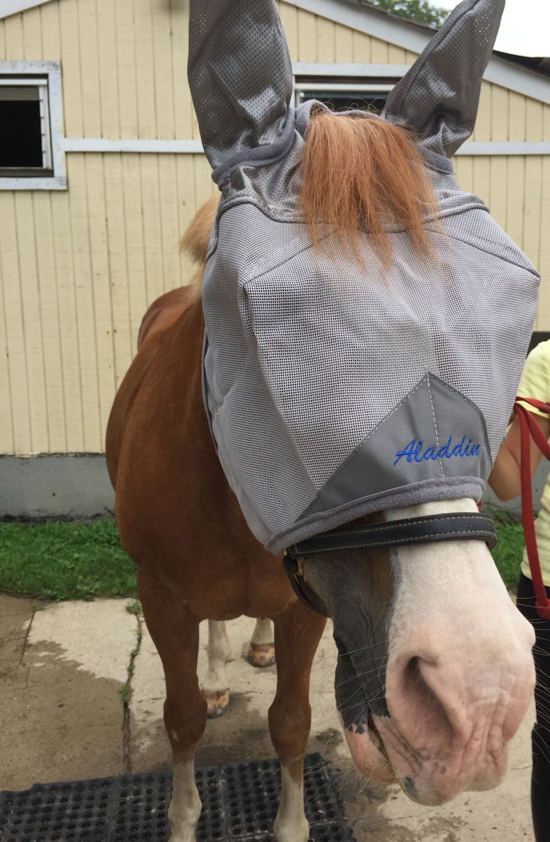 Personalized Cashel Fly Mask With Ears - Etsy