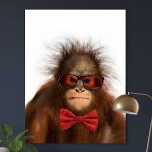 May include: A framed print featuring an orangutan wearing red-tinted sunglasses and a red bow tie. The orangutan has brown fur and is centered against a white background. The image is a humorous portrait.