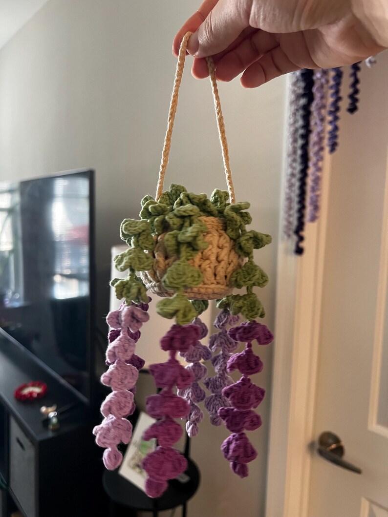 Peut inclure: Une plante suspendue au crochet faite &agrave; la main, avec un pot beige, des feuilles vertes et des fleurs violettes et roses en cascade. La plante est suspendue par une corde beige. Le travail artisanal est d&eacute;taill&eacute; et les couleurs sont vives.