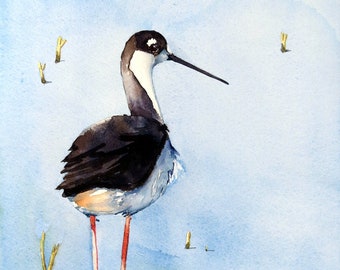 BEACH BIRD art print, Coastal Bird, Beach Home, print decor, Coastal Bird wallart, Black Neck Stilt, Watercolo Paintng, LaBerge Muren, 6833