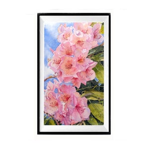 art,RHODODENDREN,Flower Washington State Colorful Botanical Wall Art Print blush. Flower on large Bush painting pink,1145