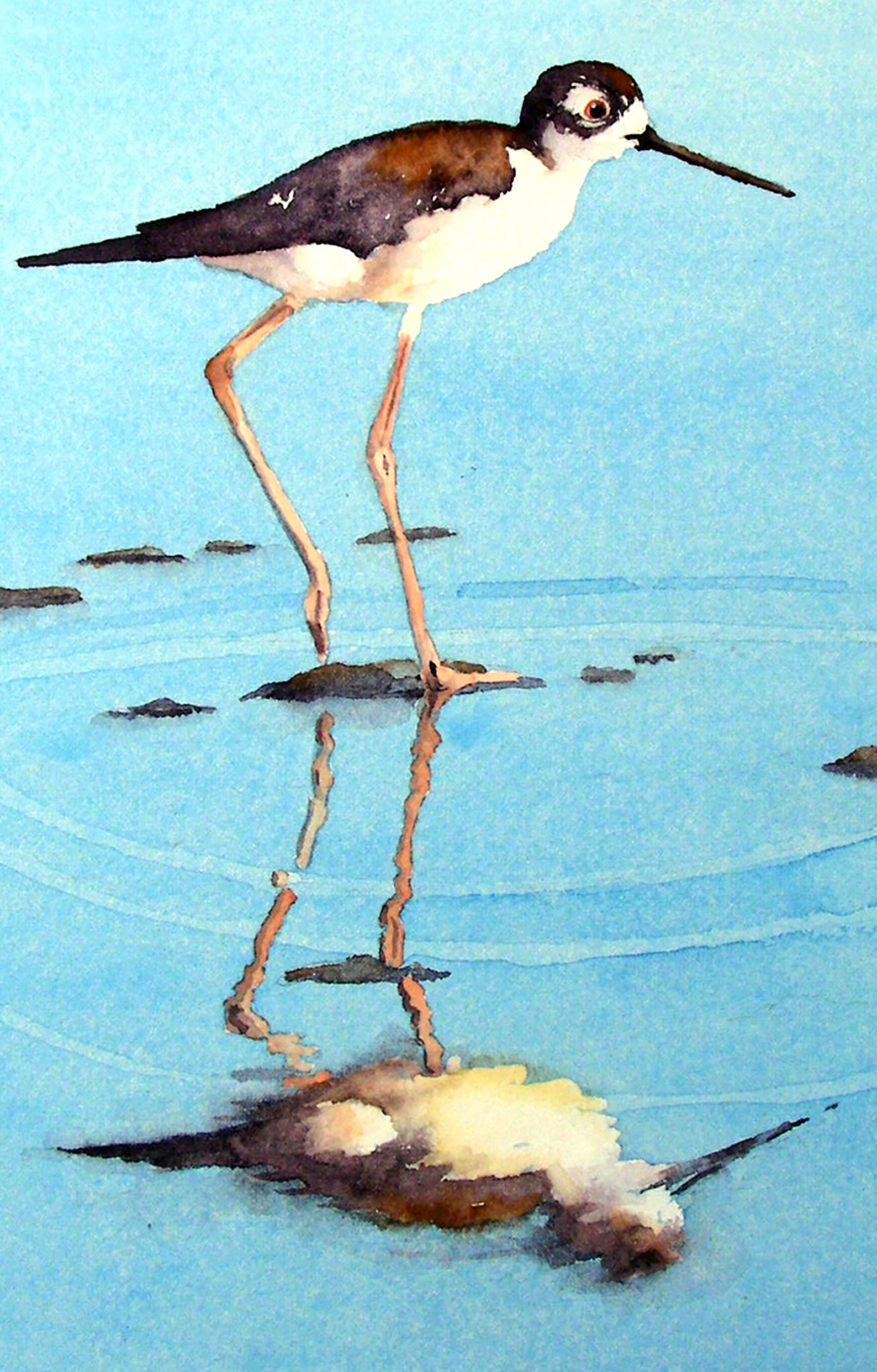 Beach Birds Wall Art Coastal Bird Wall Art TV Art Modern Etsy