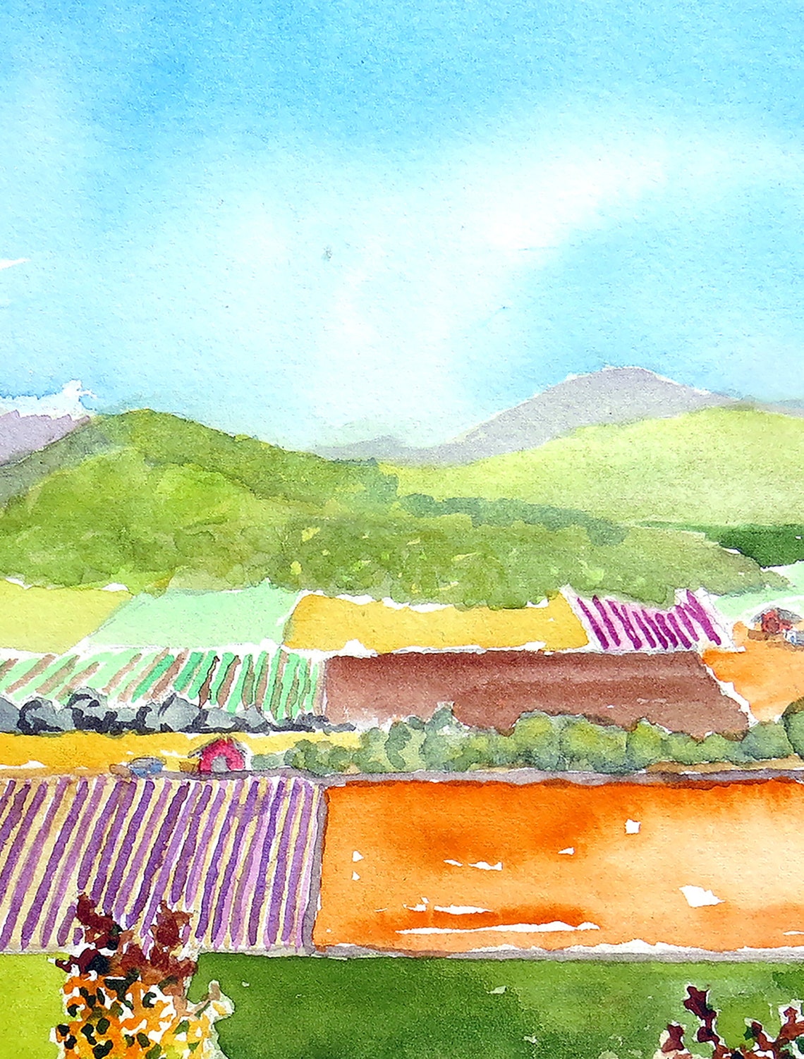 Vineyard Art California Scenery Art Prints Vineyard Wall Etsy