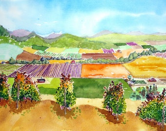 Vineyard Art, California scenery art prints, Vineyard wall art, Vineyard watercolor print,  Free Shipping sale