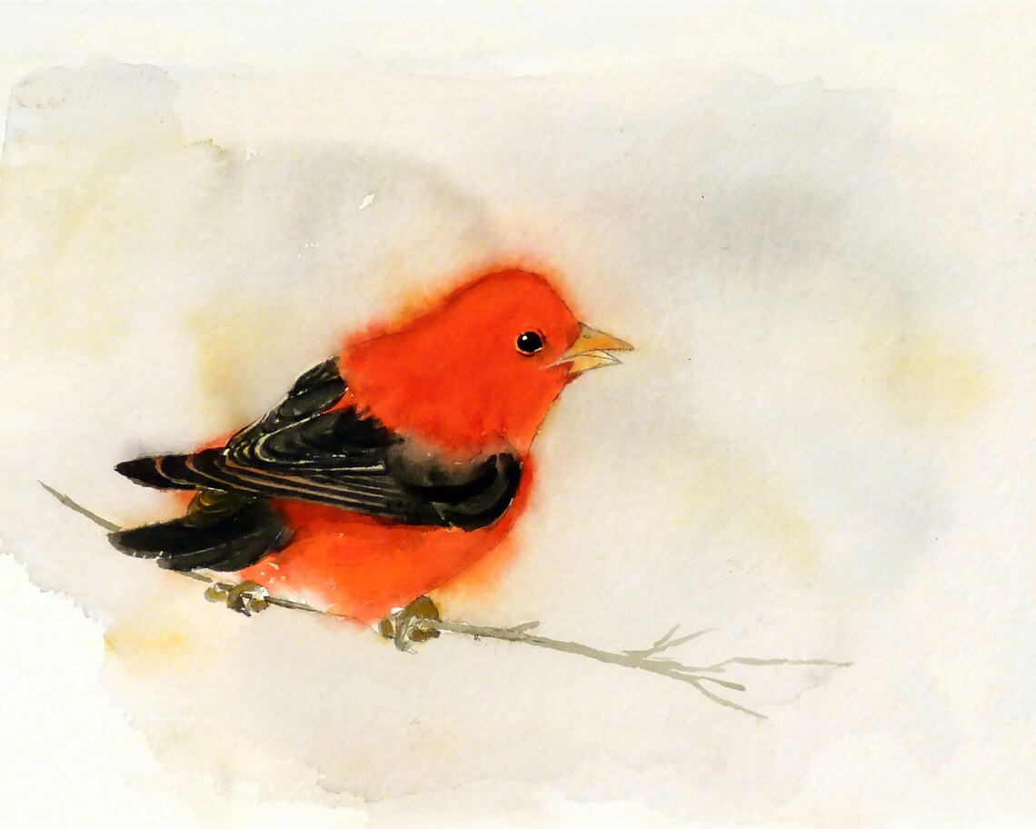 Bird Prints Wall Art Watercolor Red Bird Wall Art Kitchen Etsy Ireland