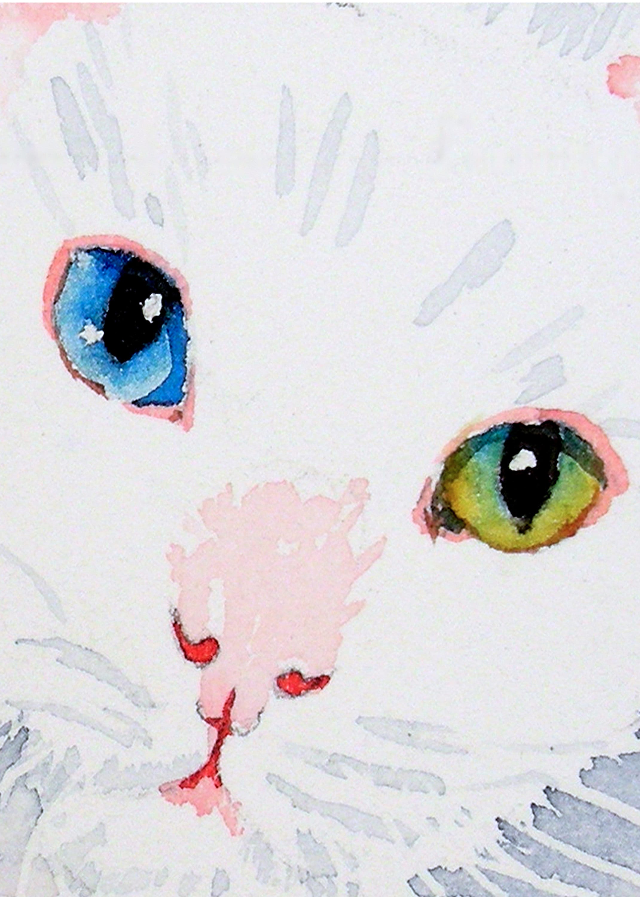 白猫の水彩画アートプリント、オッドアイの猫、緑と青の目 - Etsy 日本