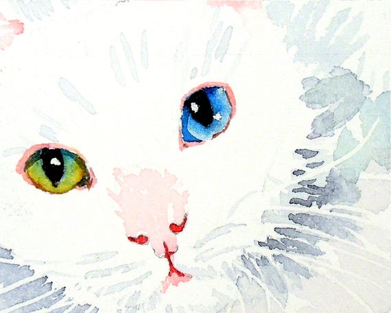 オッドアイのペルシャ猫の水彩画、白い子猫のアート - Etsy 日本