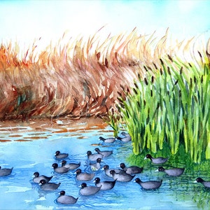 Original Bird Watercolor Art - Beach Landscape wall Decor - Wetland Bird Watercolor Painting - Coastal Shore Decor wall art decor, 13058
