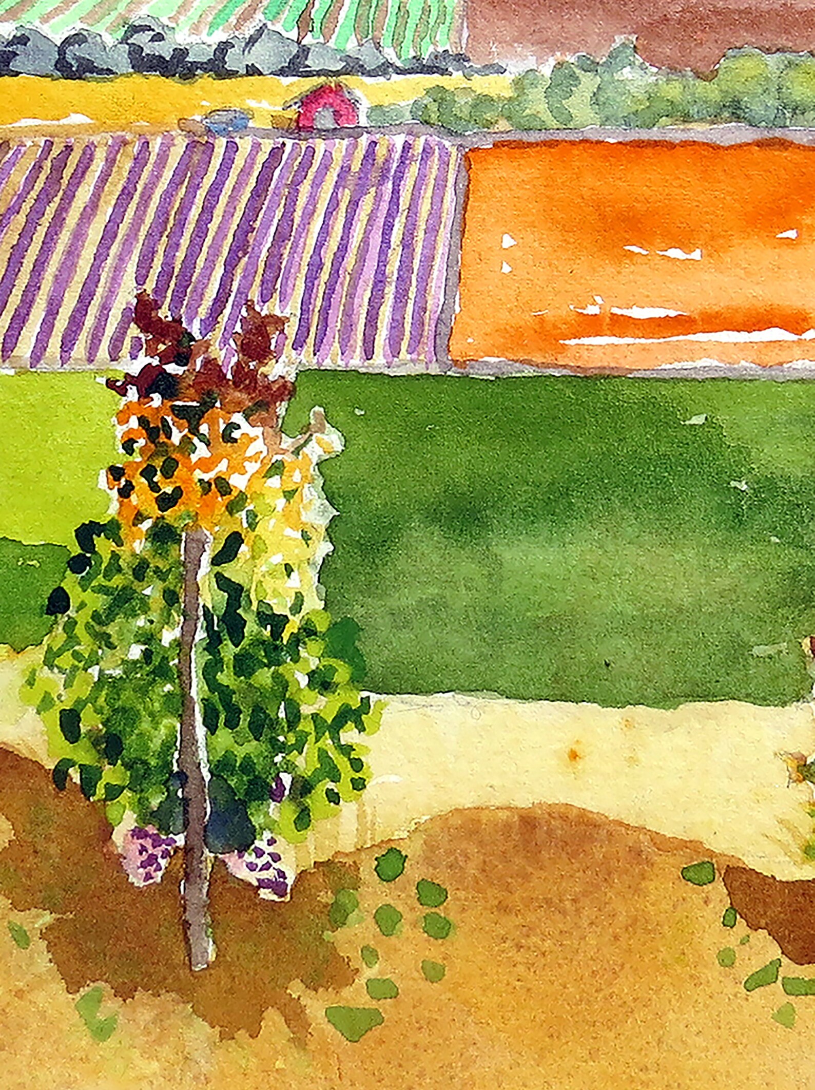 Vineyard Art California Scenery Art Prints Vineyard Wall Etsy