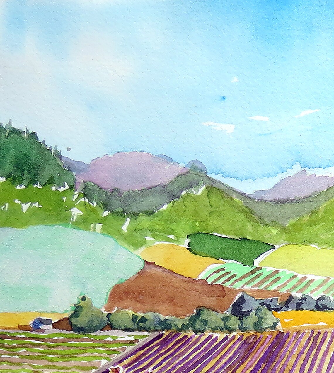 Vineyard Art California Scenery Art Prints Vineyard Wall Etsy