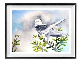 Whitetail Kite Hawk set on a limb with a Sunny Blue Sky, Kite Watercolor Original Painting, White Tail Kite, by LaBerge Muren 5001 copy