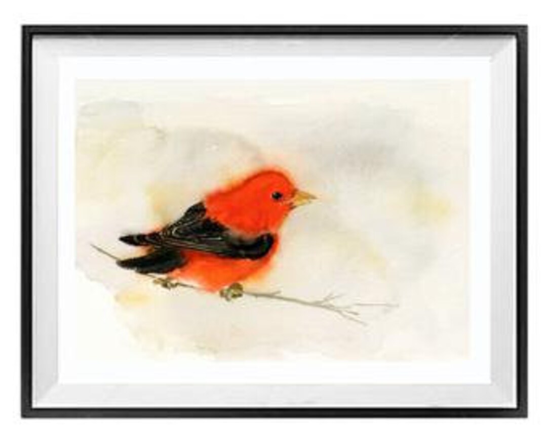 Bird Prints Wall Art, Watercolor Red Bird Wall Art, Kitchen Wall Art