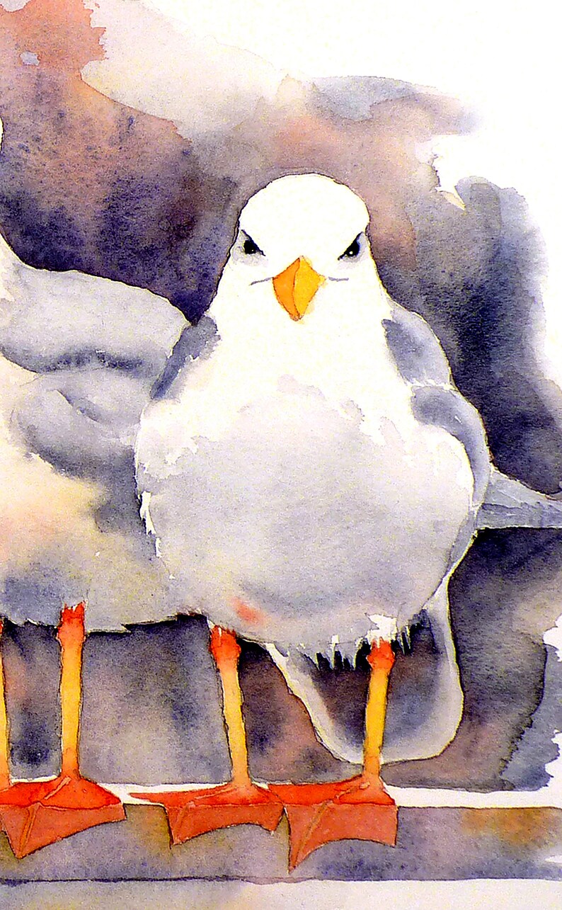 Seagull, beach print, watercolor, illustration, Painting Bird Art nature, seashore, coast, nursery, seagull art, by Nancy Muren image 4