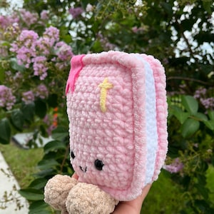 Cuddly Bible Pal crochet pattern | Digital PDF | Faith based | Christian amigurumi image 2