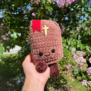 Cuddly Bible Pal crochet pattern | Digital PDF | Faith based | Christian amigurumi image 3