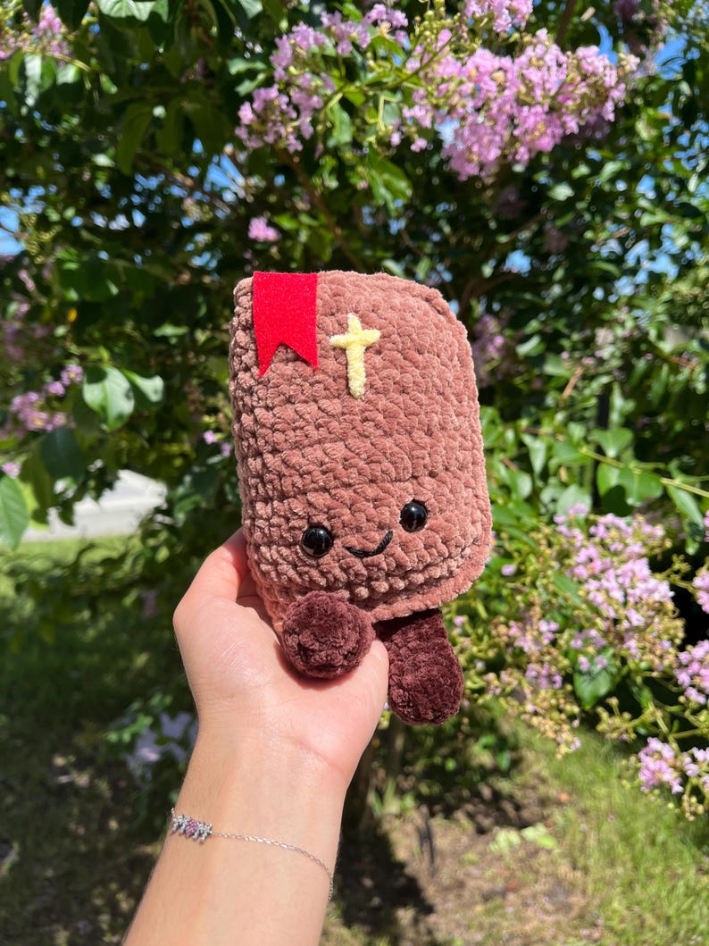 Cuddly Bible Pal crochet pattern | Digital PDF | Faith based | Christian amigurumi image 3