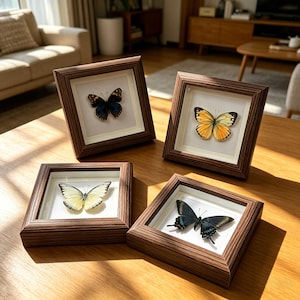 May include: Four framed butterfly displays. Each square frame is made of dark wood and contains a butterfly specimen against a white background. The butterflies are various colors, including blue, yellow, and black.